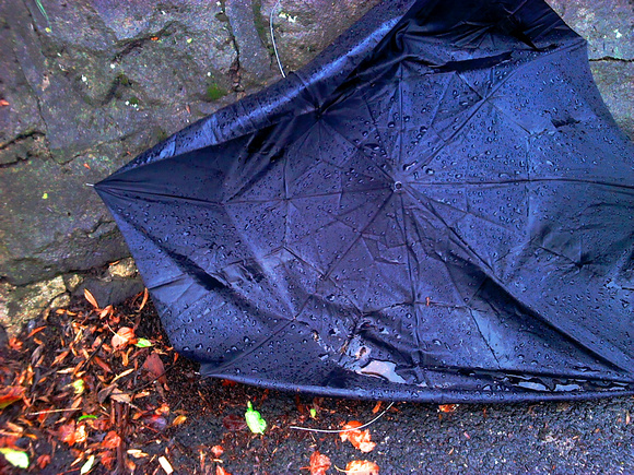 Black umbrella broken